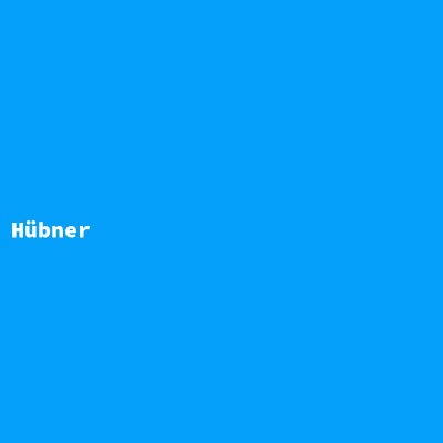 Hersteller: Hübner