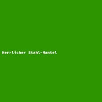 Herrlicher Stahl-Mantel