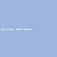 Herrlicher Stahl-Mantel